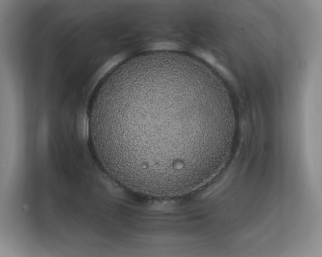 X0000111251221200907021424