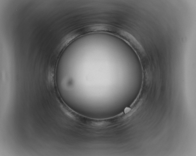 X0000111251225200907021424