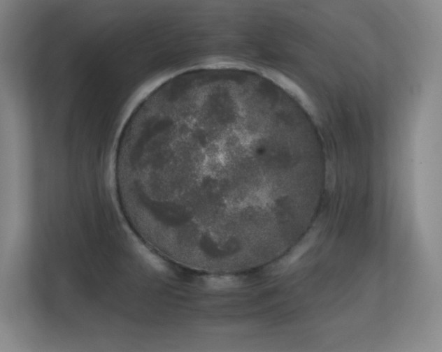 X0000111251231200907021425