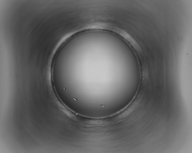 X0000111251232200907021425