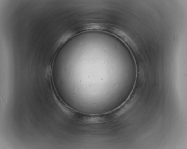 X0000111251233200907021425