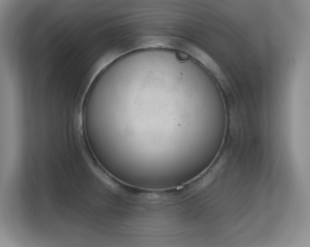 X0000111251234200907021425