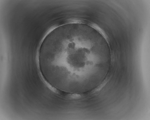 X0000111251235200907021425