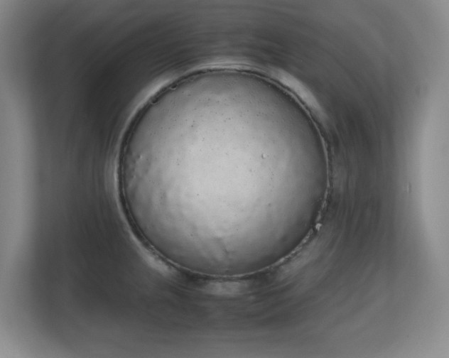 X0000111251237200907021425