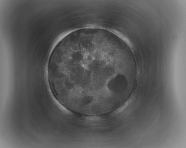 X0000111251239200907021425