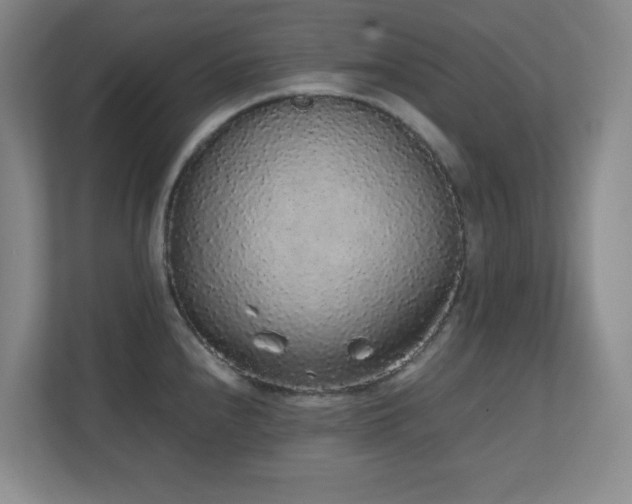 X0000111251240200907021425