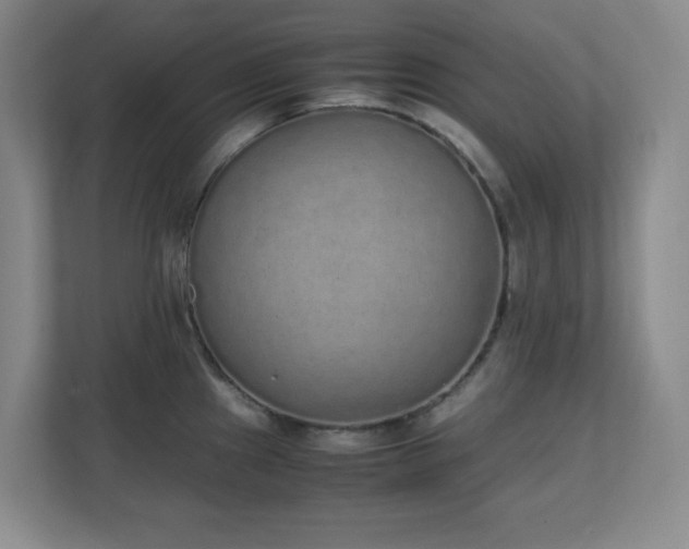 X0000111251241200907021425