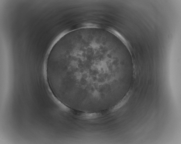X0000111251243200907021425