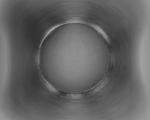 X0000111251244200907021425