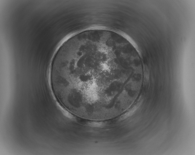 X0000111251245200907021425
