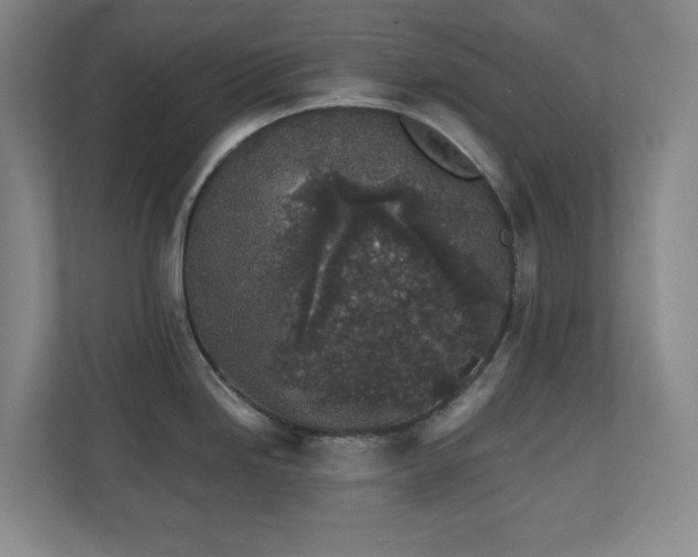 X0000111251246200907021425