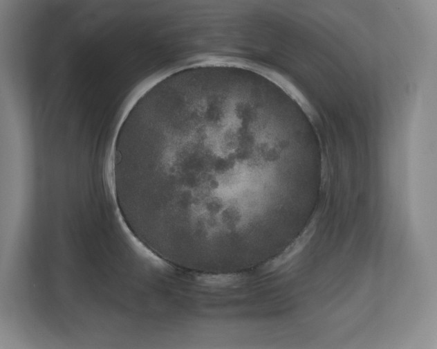 X0000111251247200907021425