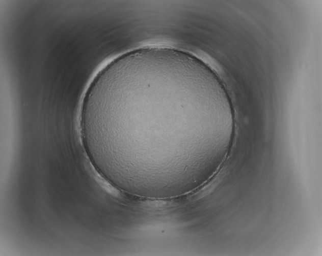 X0000111251248200907021425