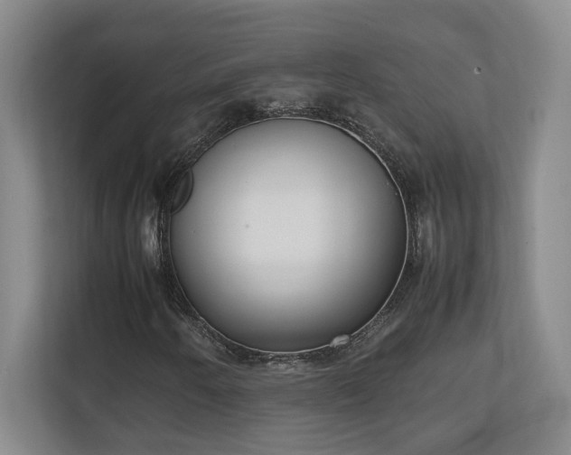 X0000111251250200907021424