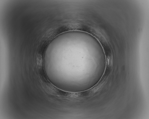 X0000111251251200907021424