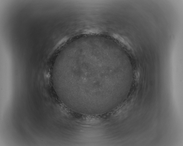 X0000111251254200907021424
