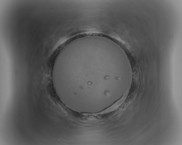 X0000111251255200907021424
