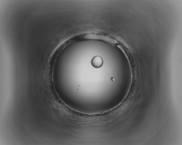 X0000111251256200907021424