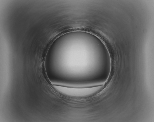 X0000111251257200907021424