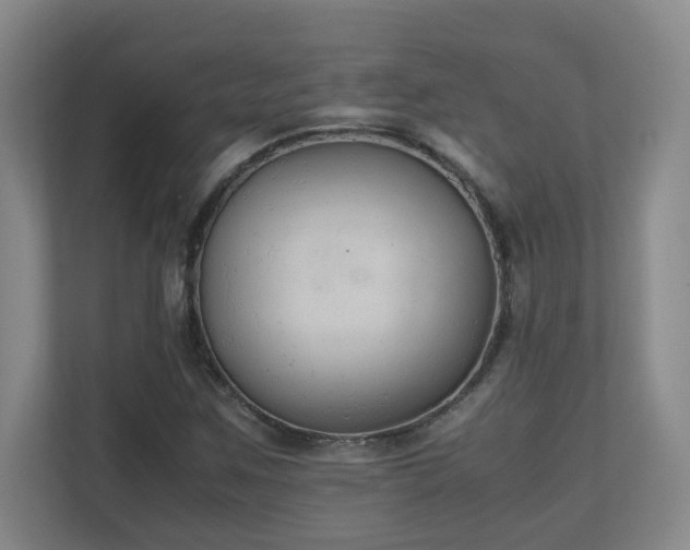 X0000111251259200907021424