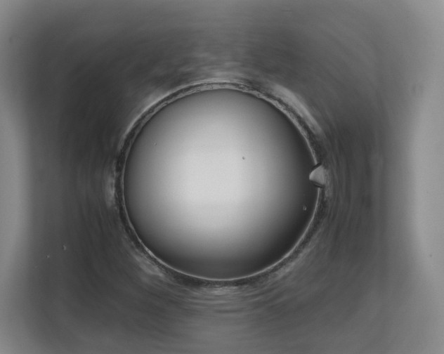 X0000111251260200907021424