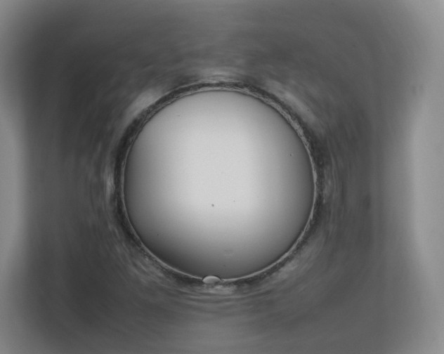 X0000111251261200907021424