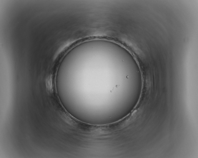 X0000111251262200907021424