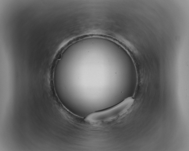X0000111251264200907021424