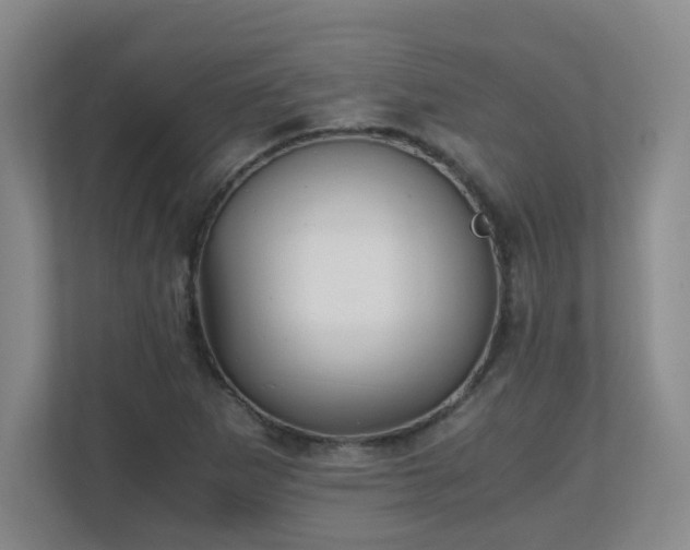 X0000111251265200907021424
