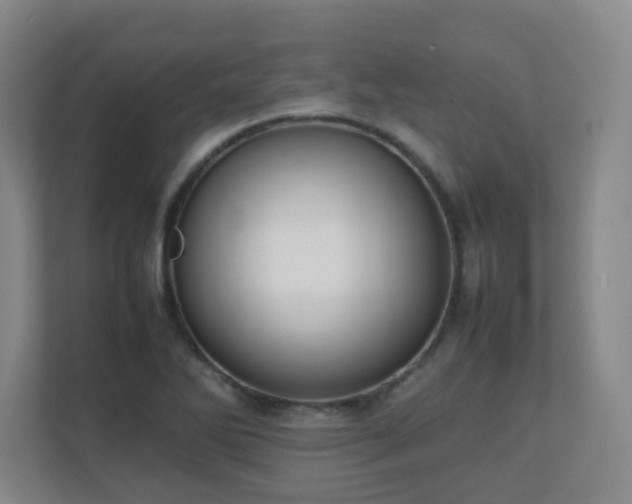 X0000111251270200907021424