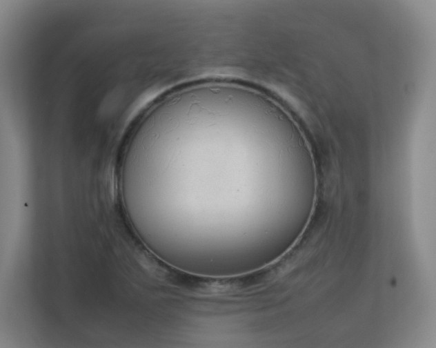 X0000111251271200907021424