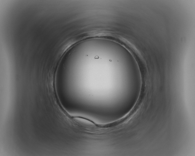 X0000111251273200907021424