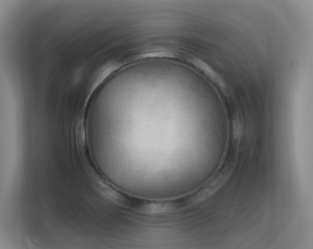 X0000111251274200907021424