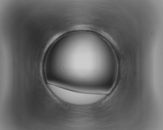 X0000111251277200907021424