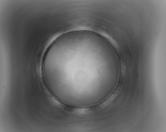 X0000111251278200907021424