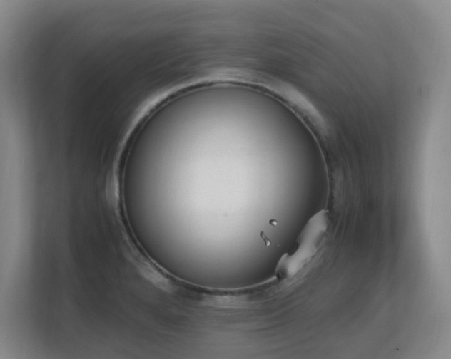 X0000111251280200907021424