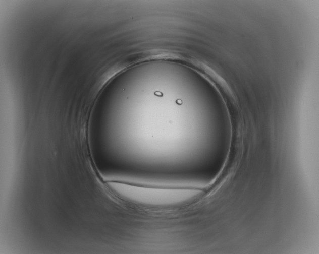 X0000111251281200907021424