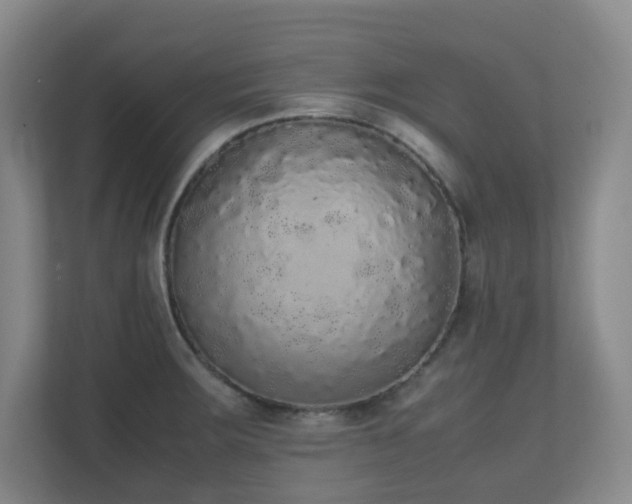 X0000111251283200907021424