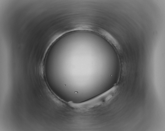 X0000111251284200907021424