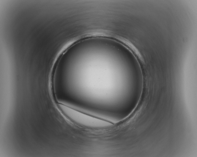 X0000111251285200907021424