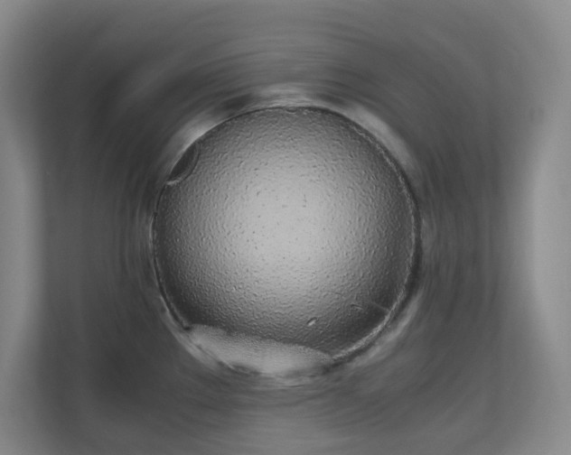 X0000111251289200907021424