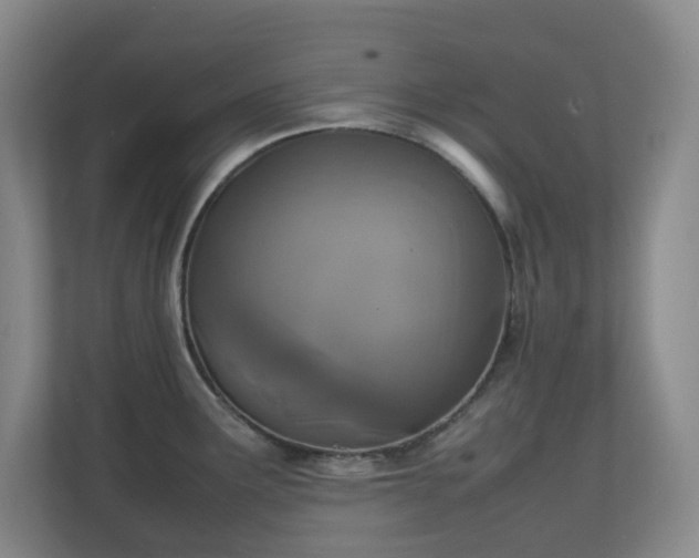 X0000111251291200907021424