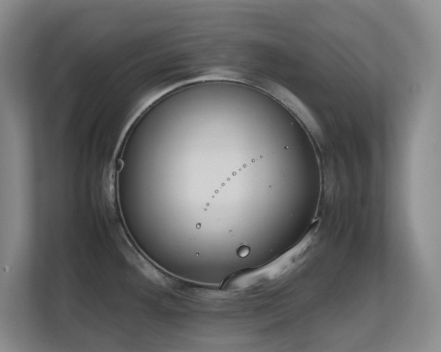 X0000111251292200907021424