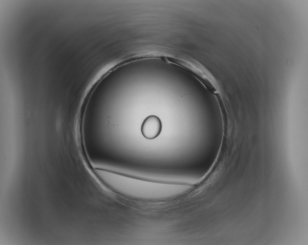 X0000111251293200907021424