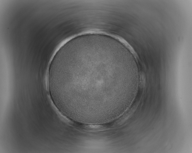 X0000111251295200907021424