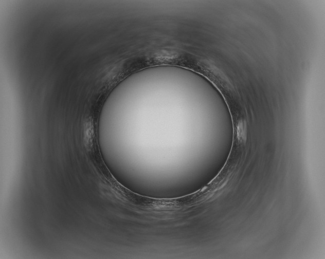 X0000111251299200907021423