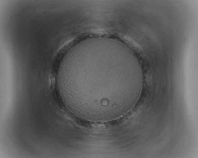 X0000111251302200907021423