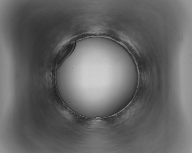 X0000111251304200907021423