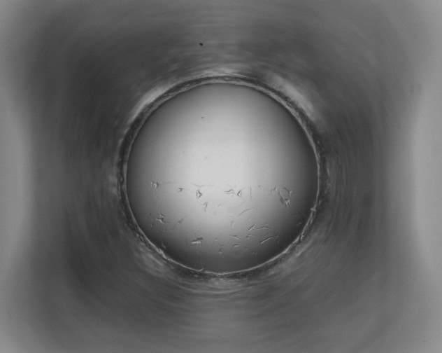X0000111251308200907021423