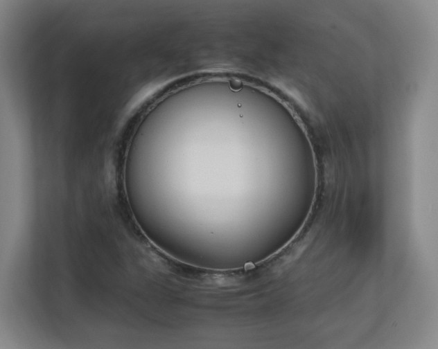 X0000111251311200907021423